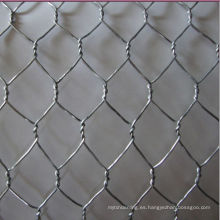 Anping Shengyang Wire Bird Screen